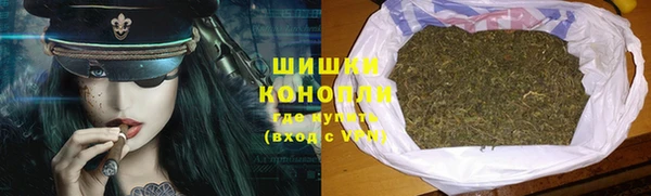 ALPHA PVP Иннополис