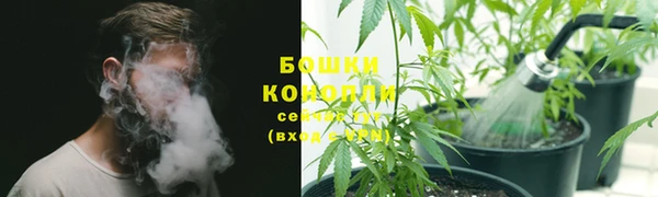 индика Зеленодольск