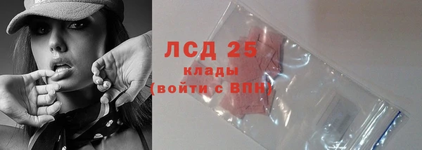 ALPHA PVP Иннополис
