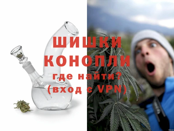 индика Зеленодольск