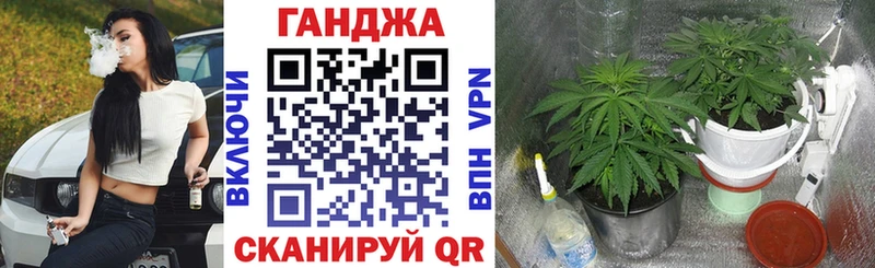Канабис планчик Купить закладки Баксан